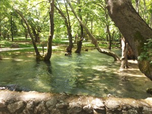 20160527_120127